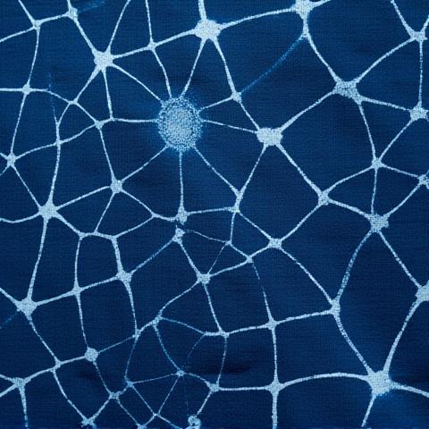 Close-up of fabric dyed with Kumo Shibori, showing intricate, web-like patterns in natural indigo blue